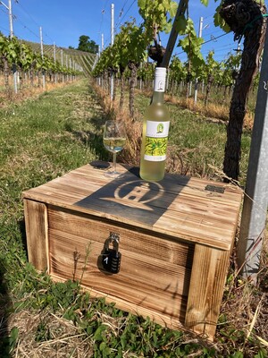 Wein-Schatzsuche am Heuchelberg - Ein besonderes Erlebnis in den Weinbergen