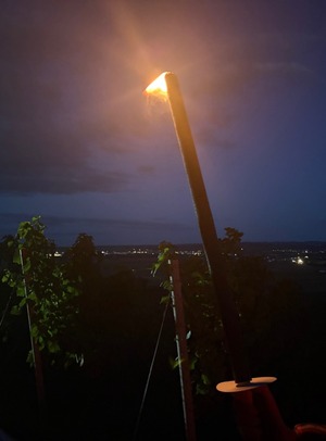 Weinspaziergang am Heuchelberg - mit Grillen am Wengerthäusle
