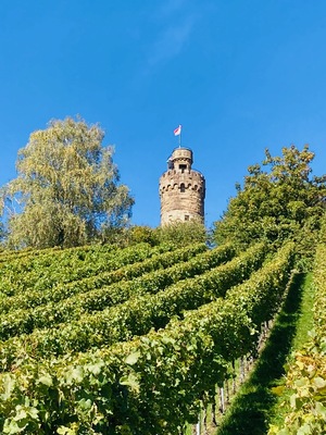 Sektfrühstück am Heuchelberg
