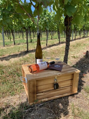 Wein-Schatzsuche am Heuchelberg - Ein besonderes Erlebnis in den Weinbergen